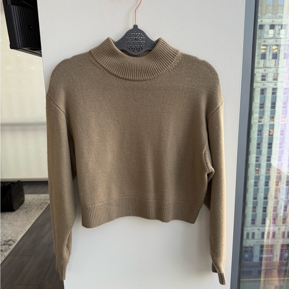 Aritiza mock neck Sweater